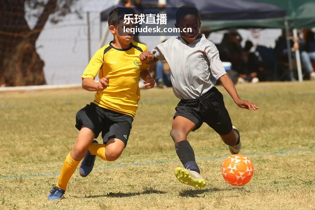 乐球直播足球赛事高清直播入口